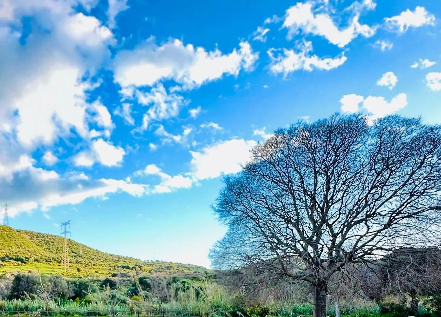 Finca Santa Teresa, Casa La Higuera Casares
