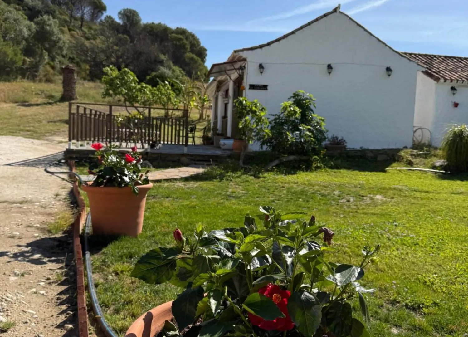 Finca Santa Teresa, Casa La Higuera Casares Spain