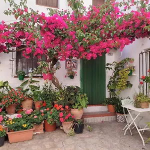 La Buganvilla De Juana Y Antonio , Casares España